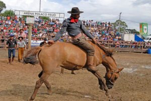 Canela abre a temporada de rodeios no Estado, com programação campeira e artística