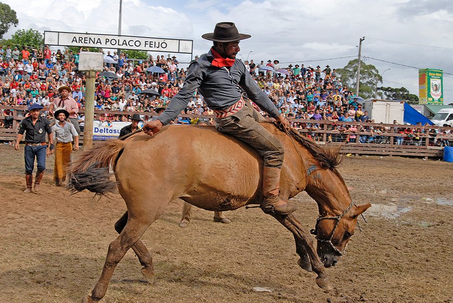 Canela abre a temporada de rodeios no Estado, com programação campeira e artística
