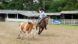 Rodeio Crioulo Nacional de Canela promete uma grande festa da tradição gaúcha