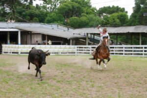 Contagem regressiva para o Rodeio de Canela, que iniciará dia 11