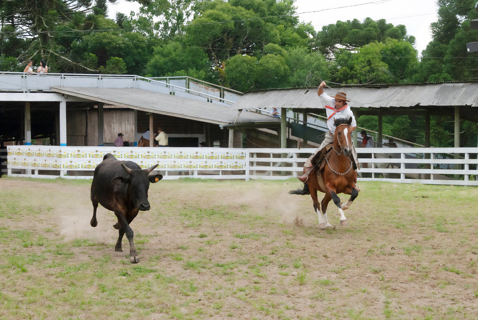 Contagem regressiva para o Rodeio de Canela, que iniciará dia 11
