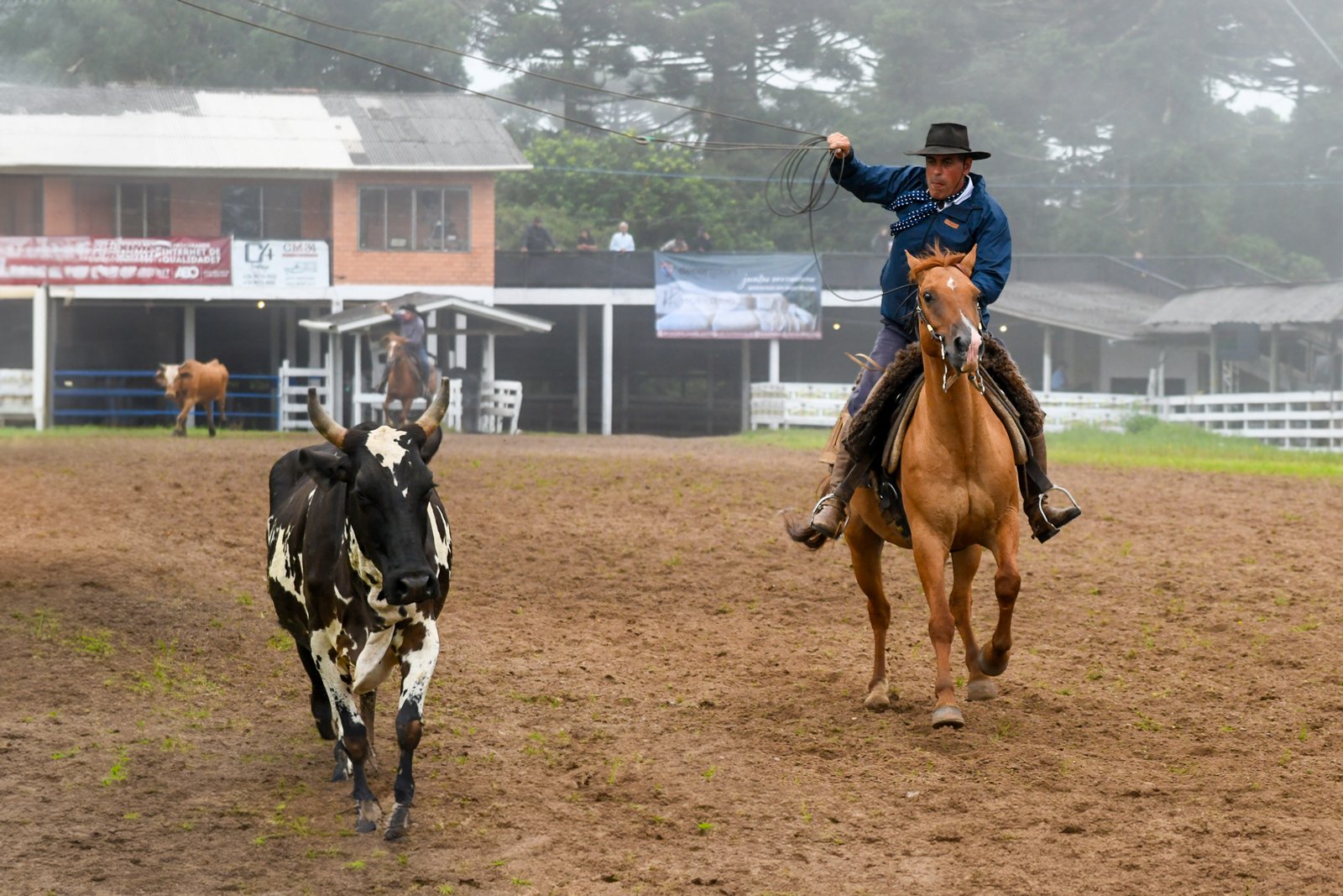 CTG Querência de Canela inicia a celebração dos seus 70 anos