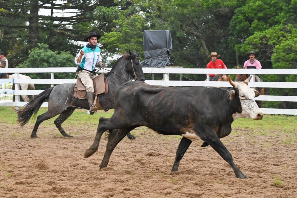 Parque Saiqui se transforma para receber a 40ª edição do Rodeio Crioulo Nacional de Canela