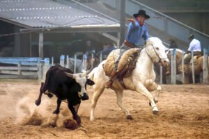 Rodeio Crioulo Nacional de Canela promete um espetáculo de cultura, tradição e entretenimento
