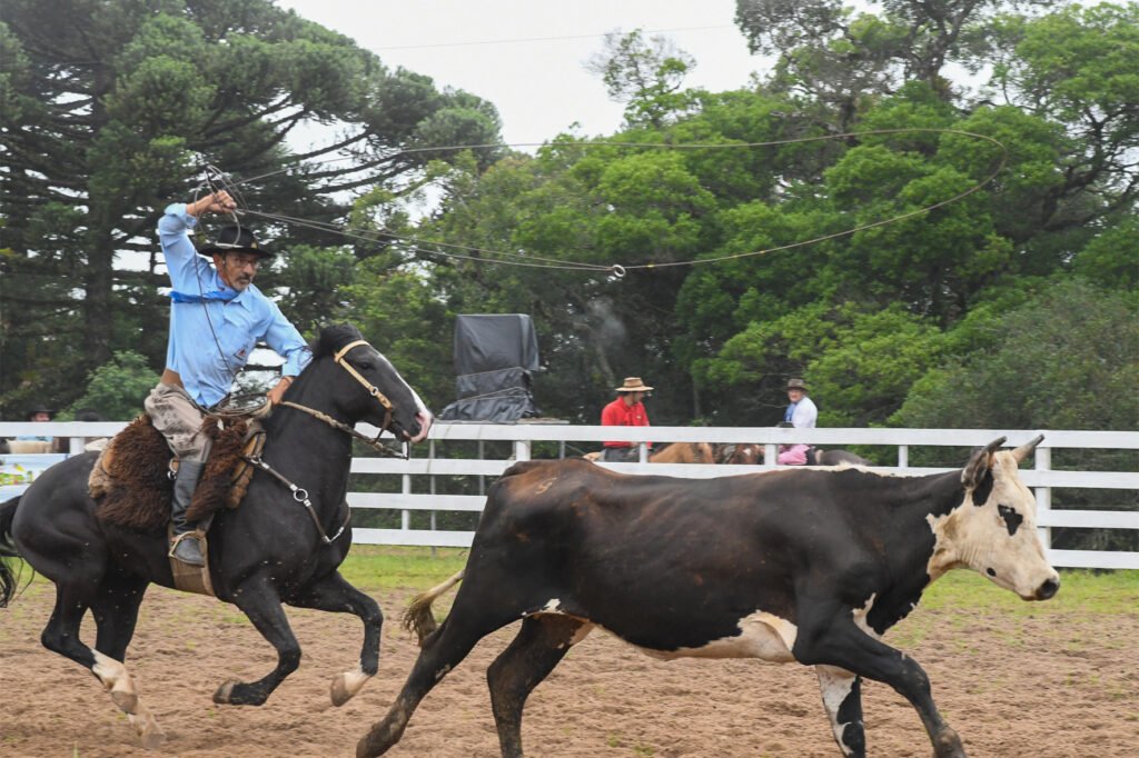 Para marcar o início de mais um ano dedicado à preservação e disseminação da tradição e cultura gaúcha., o Rodeio Crioulo de Canela está agendado para a próxima  semana, de 9 a 12 de janeiro, Parque de Rodeios Saiqui. Ao longo de quatro dias, participantes e espectadores serão envolvidos em um ambiente repleto de emoção, música, dança e desafios campeiros e artísticos que ressaltam a força e destreza de peões e prendas nas diversas modalidades que fazem parte da programação do evento. A área de alimentação transforma-se em um verdadeiro banquete de sabores, oferecendo desde pratos campeiros até lanches. A movimentada "rua do comércio" é um ponto de destaque, com produtos únicos e confeccionados com maestria por talentosos artesãos. O evento apresentará provas campeiras, incluindo laço, gineteada, prova de rédeas e vaca parada, com destaque para o laço Origens, na qual os competidores se apresentam com encilhas e vestimentas antigas e também o Duelo de Prendas, que traz para a arena mulheres que se orgulham de serem gaúchas. Além disso, a programação artística e cultural será diversificada, com disputas de gaita piano e botão, intérprete vocal e declamação no domingo, 12. JJVS estará animando o fandango de quinta-feira, Candieiro e Estação Fandangueira, na sexta-feira e Os Mateadores, no sábado, com ingressos antecipados com custo de 35 reais e 60, na hora. A organização do evento estima um público de 30 mil pessoas, somando participantes e público em geral. A abertura solene está marcada para sexta-feira, às 19h, na Arena Polaco Feijó, com a presença de autoridades e apresentações. O Parque, que conta com muita mata nativa, abrigará uma verdadeira cidade de acampamentos que reúnem grupos de amigos e famílias, em uma grande festa de integração. Mais informações pelo telefone/WhatsApp: 54.32822666. A realização do 40º Rodeio Crioulo Nacional de Canela é do CTG Querência, com o apoio da Prefeitura Municipal e Câmara Municipal de Vereadores.