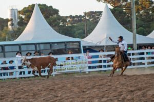 Rodeio Crioulo Nacional de Canela: tradição, cultura e celebração gaúcha