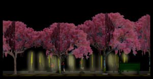 Canela Light Fest iluminará Canela com arte e tecnologia