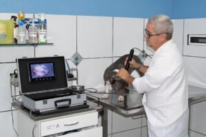 Pet Center comemora 30 anos com mês especial de vacinação e feiras de adoção