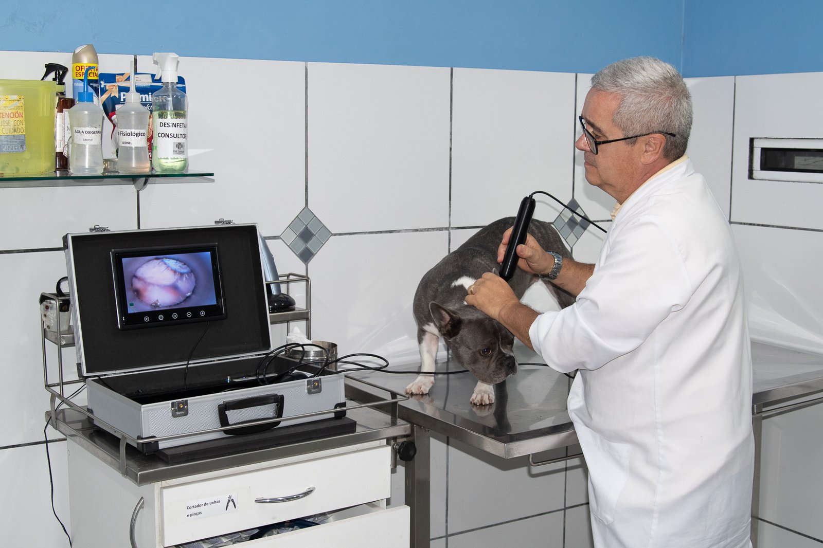 Pet Center comemora 30 anos com mês especial de vacinação e feiras de adoção