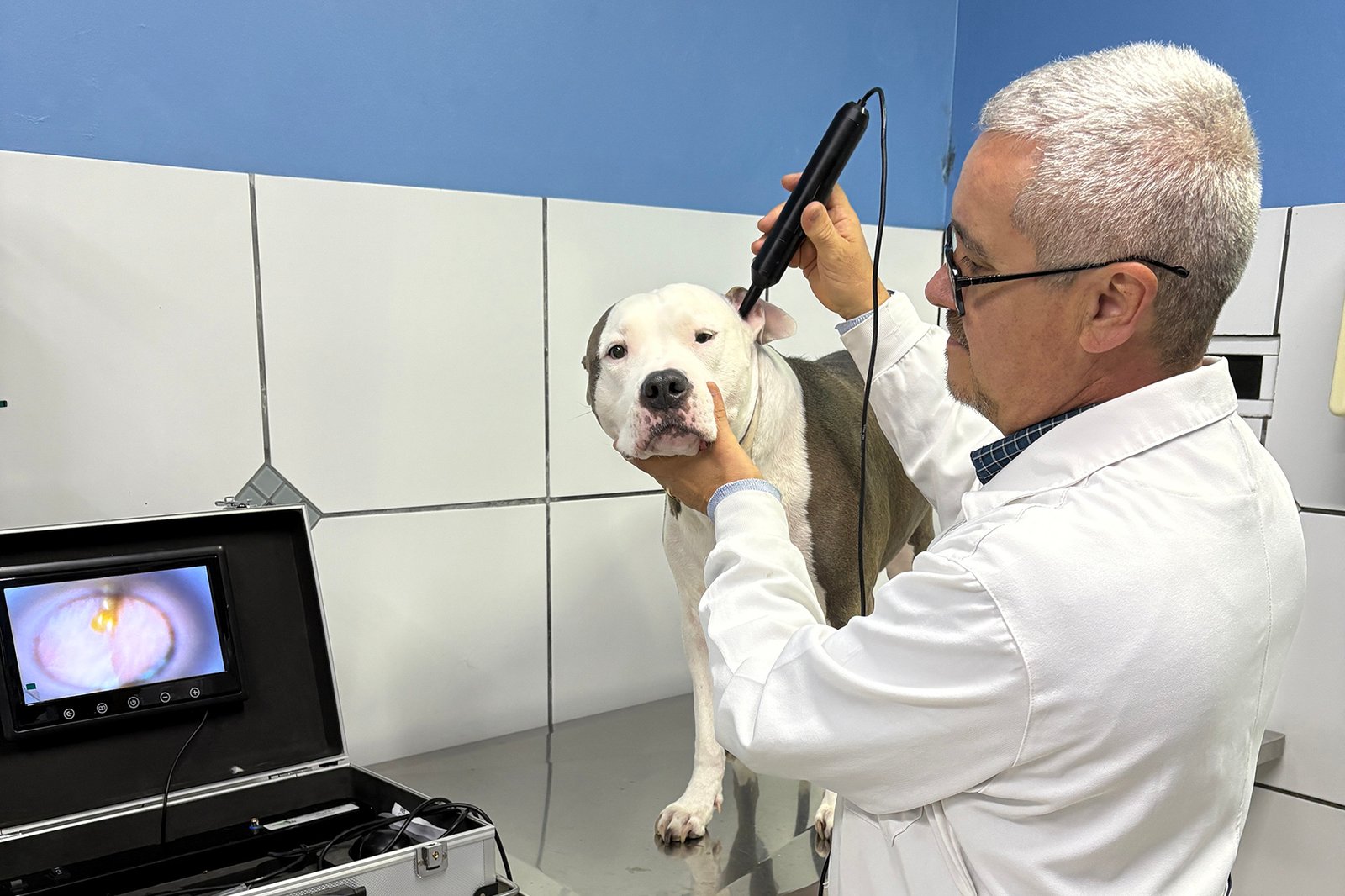 Pet Center celebra 30 anos com evento especial