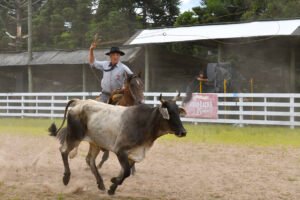 Falta um mês para o Rodeio do CTG Querência de Canela