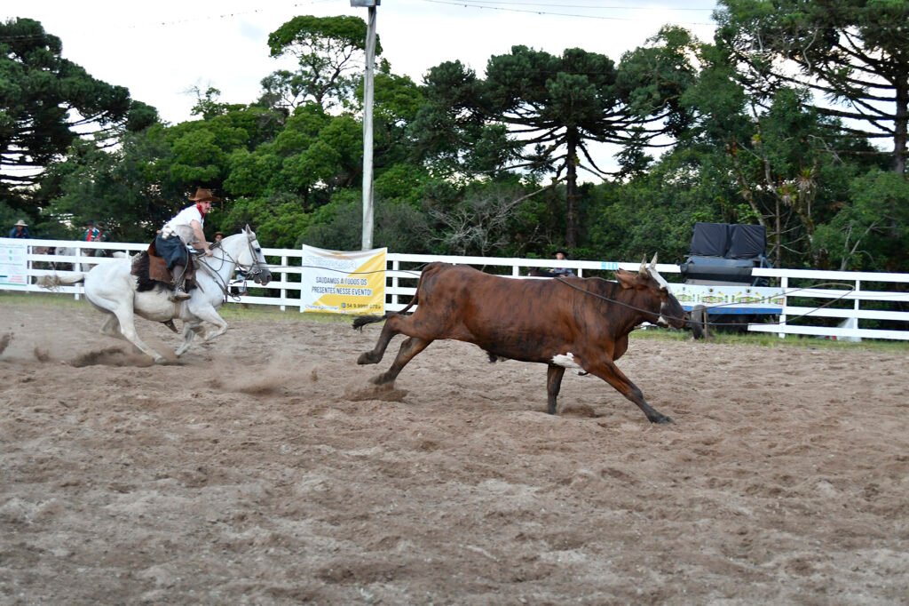 Cultura, artesanato e boa comida: Rodeio do CTG Querência anuncia edição que vai além das disputas campeiras e artísticas