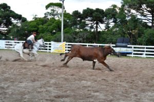 Cultura, artesanato e boa comida: Rodeio do CTG Querência anuncia edição que vai além das disputas campeiras e artísticas