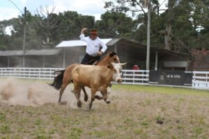 Provas campeiras e fandangos no Rodeio do Querência, em Canela