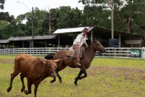 Canela abriu as porteiras do Rodeio Nacional