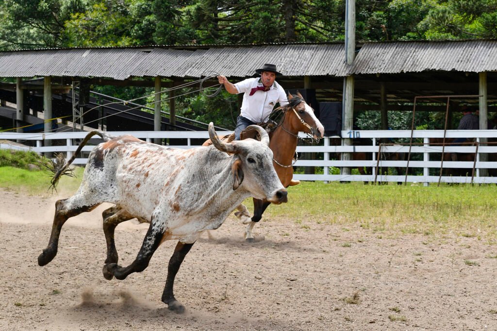 É tempo de rodeio em Canela