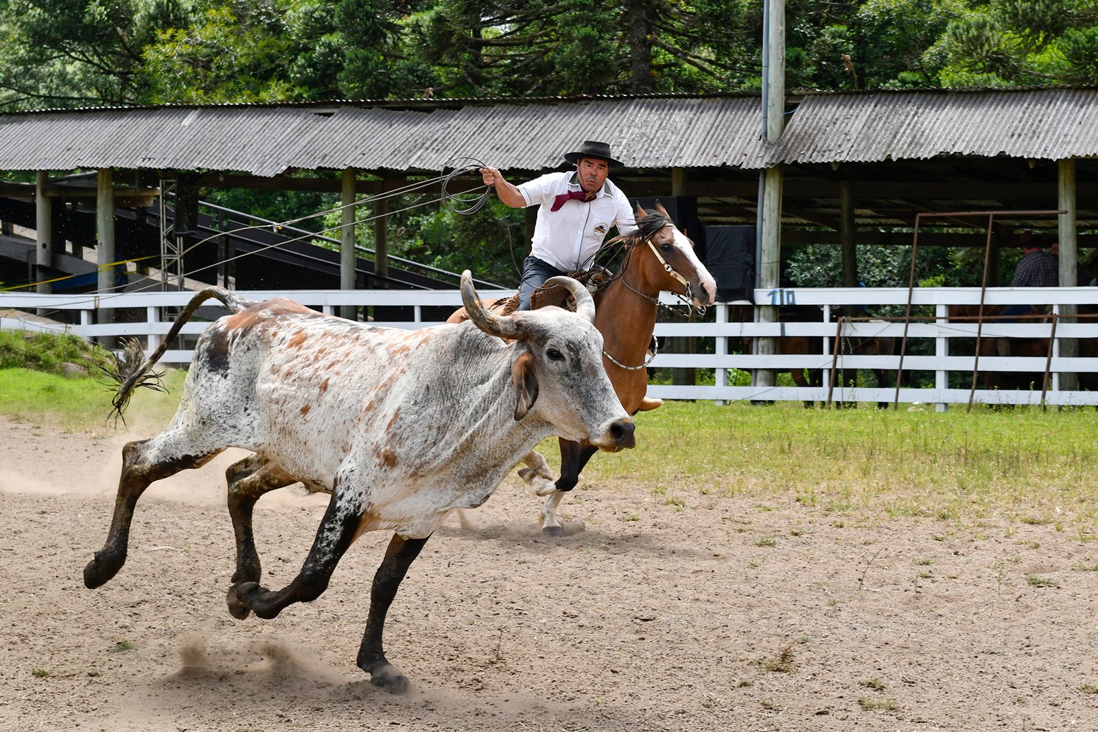 É tempo de rodeio em Canela